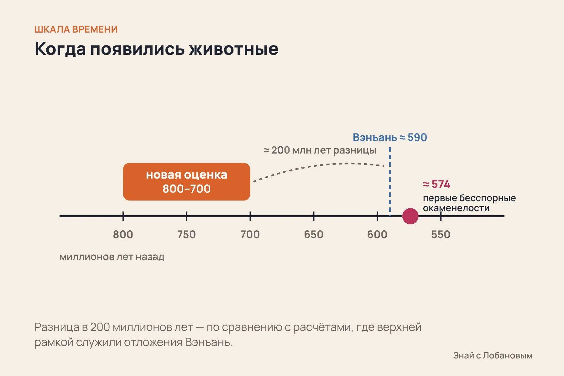 Шкала времени: новая оценка появления животных — 800–700 миллионов лет назад, самые древние бесспорные окаменелости — около 574 миллионов лет назад. Схема: «Знай с Лобановым» по данным Science Advances