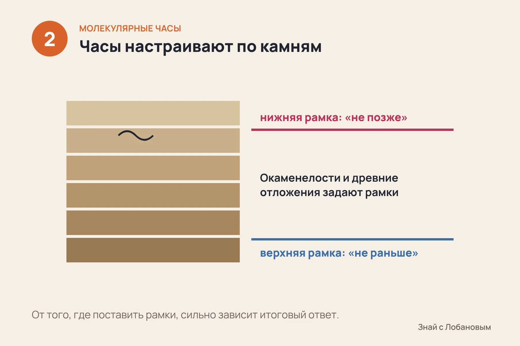 1. В ДНК постоянно накапливаются изменения: чем дольше виды развиваются отдельно, тем больше различий · 2. Часы «настраивают» по окаменелостям и древним отложениям — они задают рамки по времени · 3. Если сдвинуть верхнюю рамку в прошлое, оценка тоже уходит назад — на 800–700 миллионов лет. Схема: «Знай с Лобановым» по данным Science Advances, условно — 2 из 3