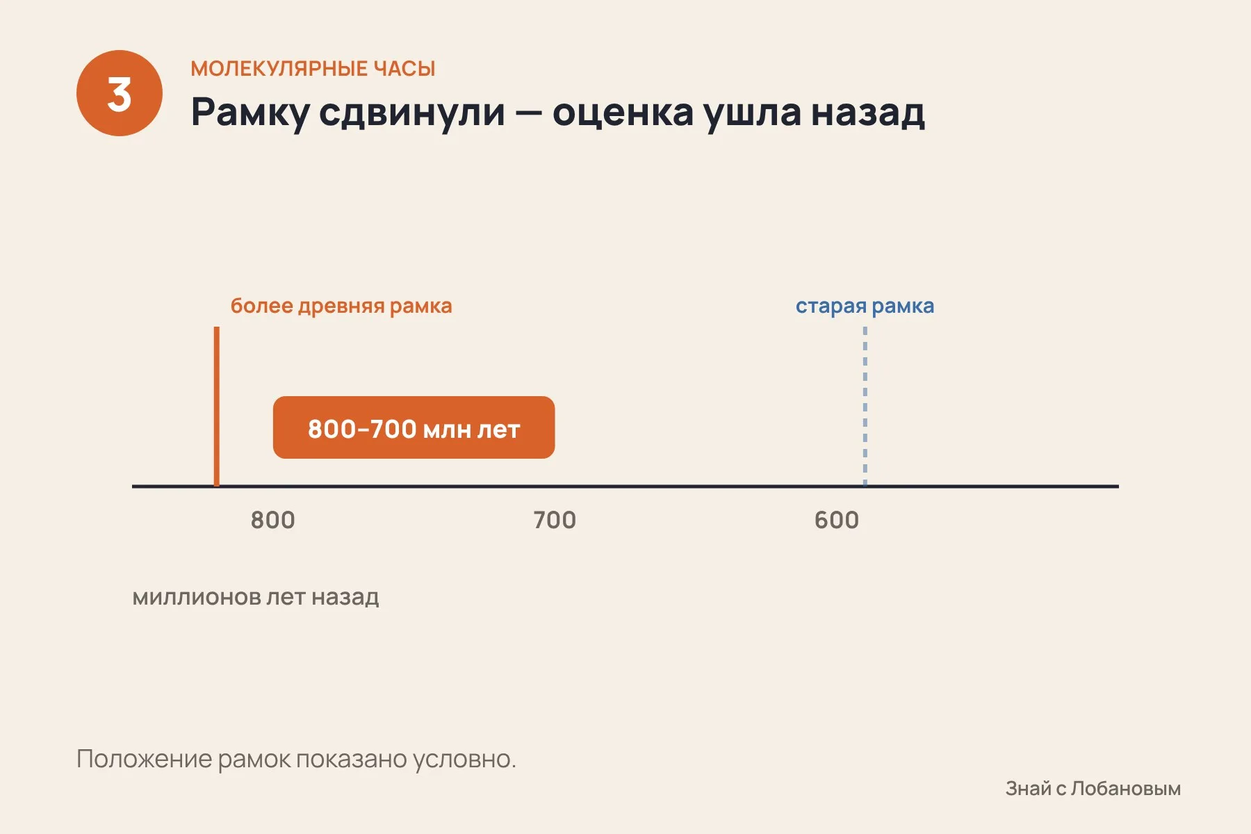 1. В ДНК постоянно накапливаются изменения: чем дольше виды развиваются отдельно, тем больше различий · 2. Часы «настраивают» по окаменелостям и древним отложениям — они задают рамки по времени · 3. Если сдвинуть верхнюю рамку в прошлое, оценка тоже уходит назад — на 800–700 миллионов лет. Схема: «Знай с Лобановым» по данным Science Advances, условно — 3 из 3