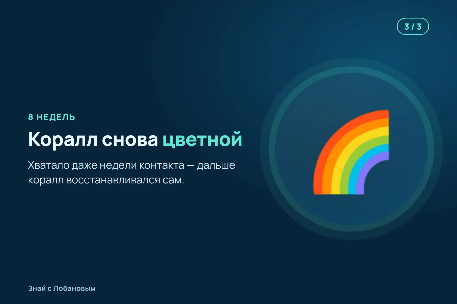 1. Обесцвеченный кусочек коралла ставят вплотную к здоровому клону. Иллюстрация: «Знай с Лобановым» по данным Science Advances, условно · 2. Каналы в тканях соединяются, и по ним в больной коралл переходят водоросли. Иллюстрация: «Знай с Лобановым» по данным Science Advances, условно · 3. Через несколько недель обесцвеченный коралл полностью восстанавливает цвет. Иллюстрация: «Знай с Лобановым» по данным Science Advances, условно — 3 из 3