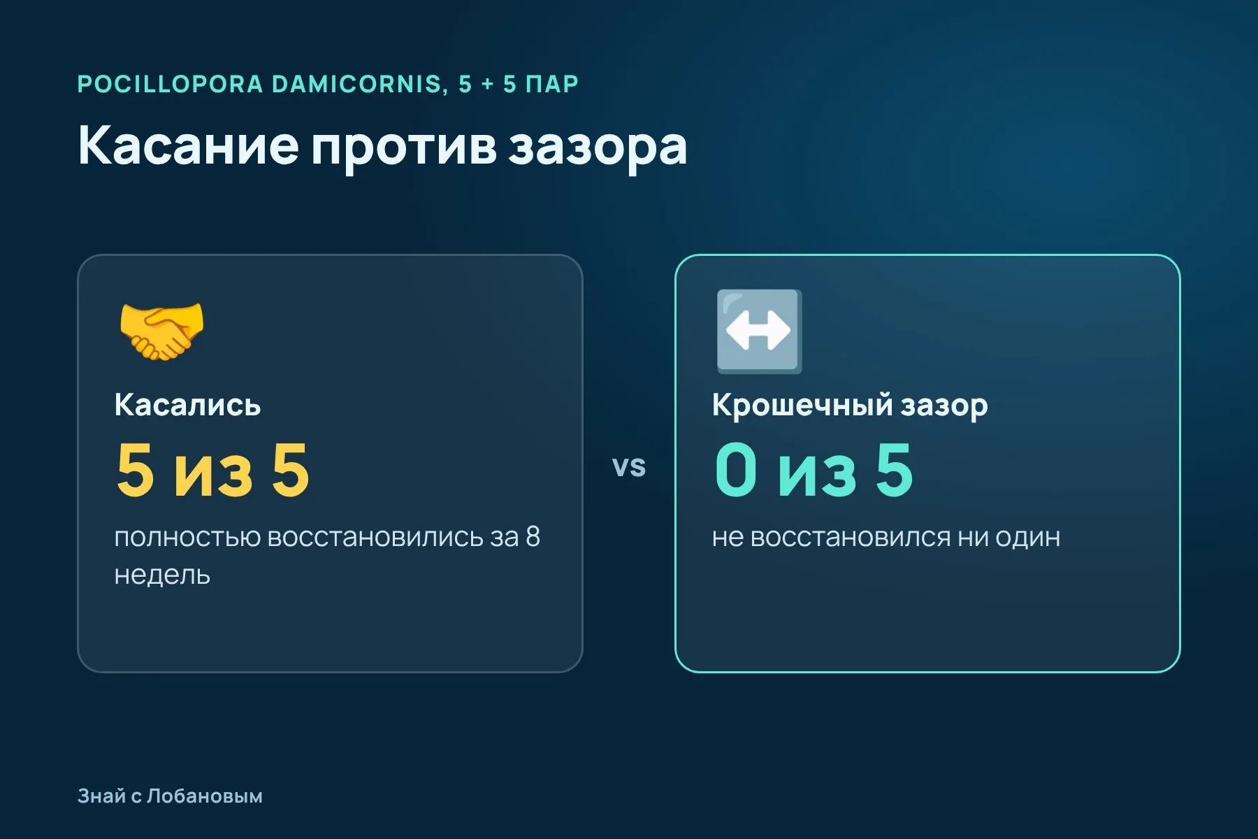 Итог опыта: касание против зазора. Схема: «Знай с Лобановым» по данным Science Advances
