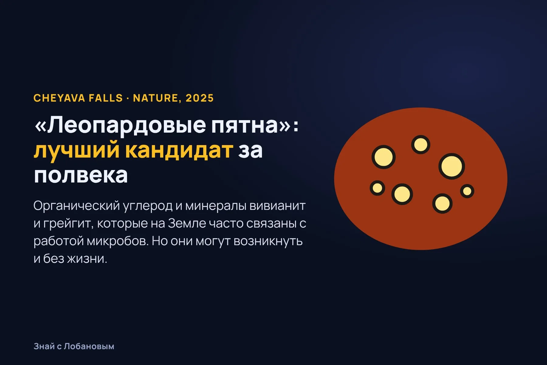 «Леопардовые пятна» на камне Cheyava Falls. Иллюстрация: «Знай с Лобановым» по данным NASA и Nature, условно