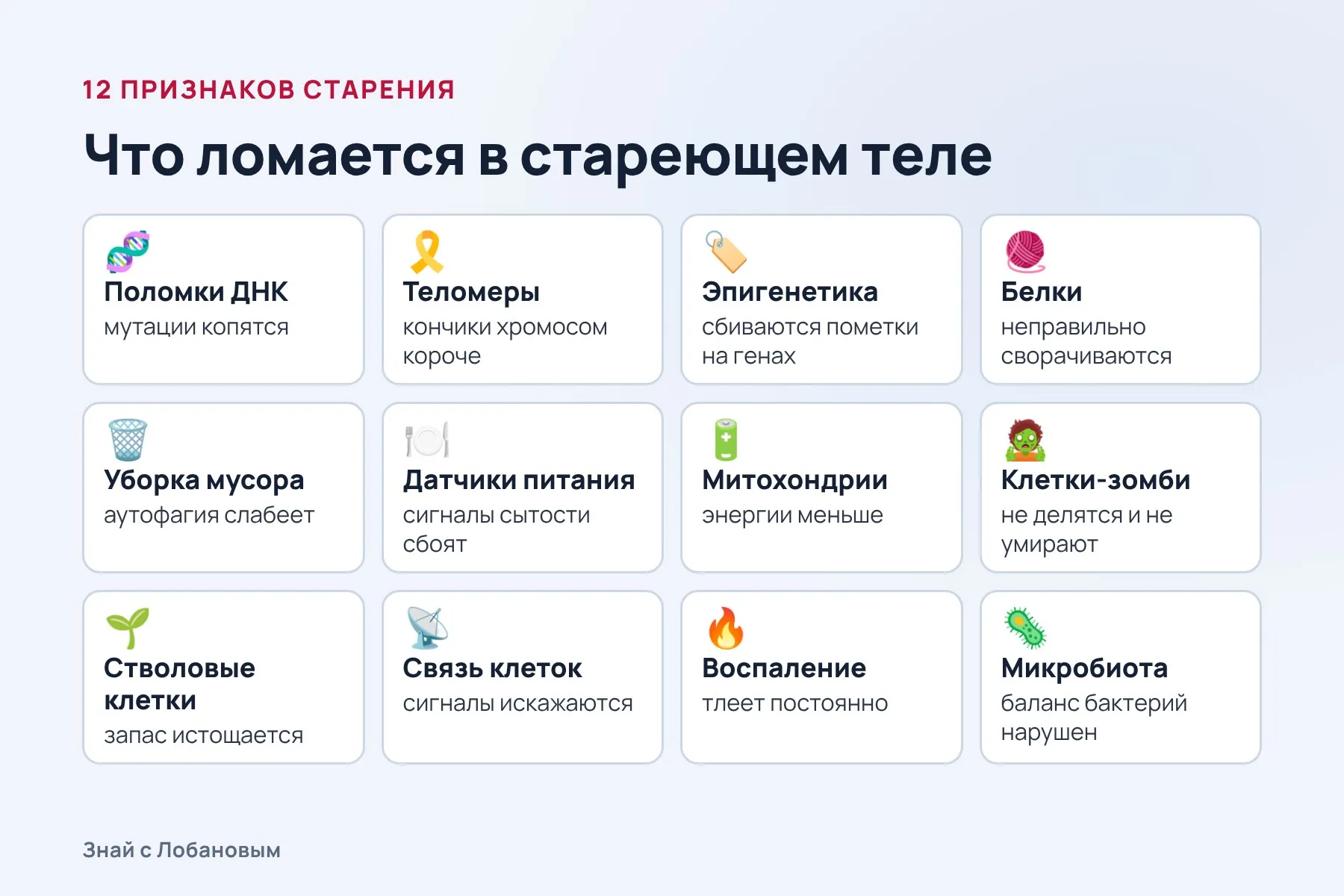 Двенадцать признаков старения: от поломок ДНК до хронического воспаления. Схема: «Знай с Лобановым» по данным López-Otín et al., Cell, 2023