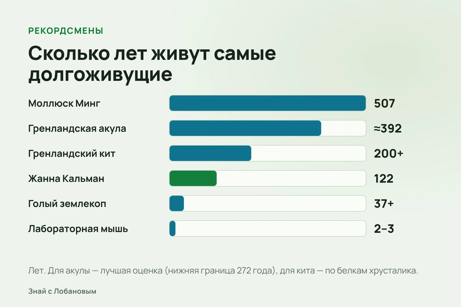 Сколько живут рекордсмены: от мыши до моллюска Минга. Схема: «Знай с Лобановым» по данным Science, eLife, Nature и Книги рекордов Гиннесса