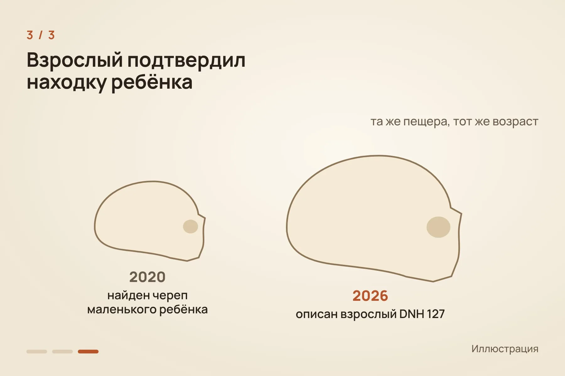 1. Находка DNH 127 — несколько обломков черепа; на род Homo указали шов между височной и теменной костями и форма сосцевидного отростка · 2. Возраст находки около 2 млн лет: она примерно на 200 тысяч лет старше взрослых Homo erectus из Дманиси · 3. Взрослая находка подтверждает вывод по детскому черепу, найденному в той же пещере в 2020 году. Иллюстрация: «Знай с Лобановым» — 3 из 3