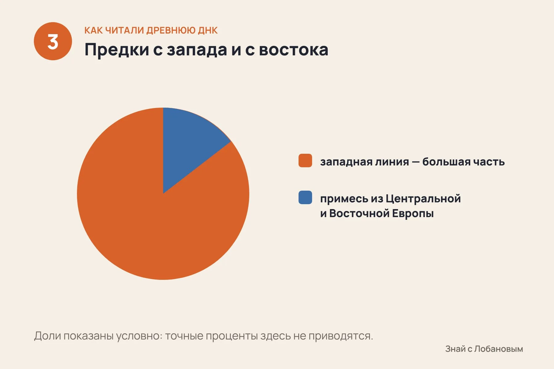1. Из останков женщины, жившей около 30 тысяч лет назад, получили полногеномные данные · 2. Учёные добавили ДНК человека, сохранившуюся в отложениях на дне пещер · 3. Большая часть предков женщины — западноевропейские, но есть и примесь с востока. Кадры 1–2 — фотореалистичные ИИ-иллюстрации работы с костью и пещерным грунтом, не фотографии находок и исследования; кадр 3 — исходная схема по данным Science Advances. — 3 из 3