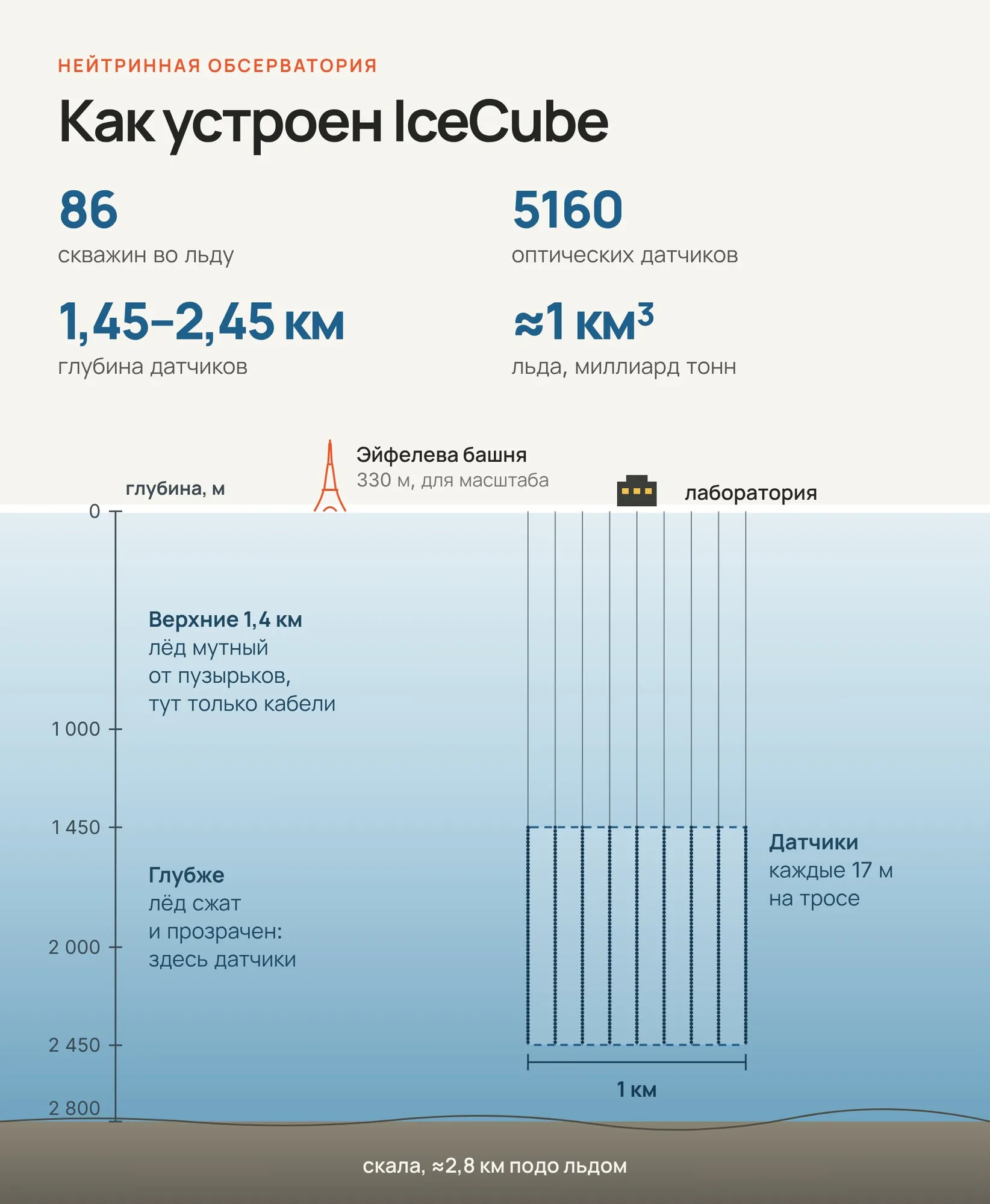 Устройство IceCube в масштабе: датчики висят на глубине от 1,45 до 2,45 км. Схема: «Знай с Лобановым» по данным IceCube Collaboration