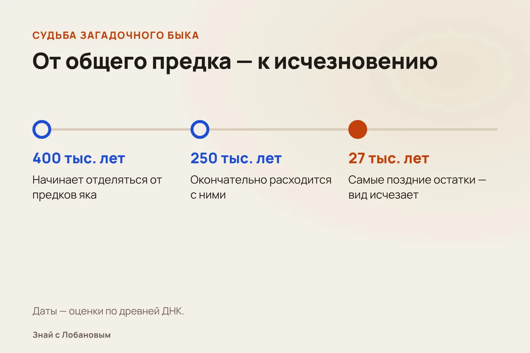 Как разошлись пути загадочного быка и современного яка. Схема: «Знай с Лобановым» по данным Current Biology