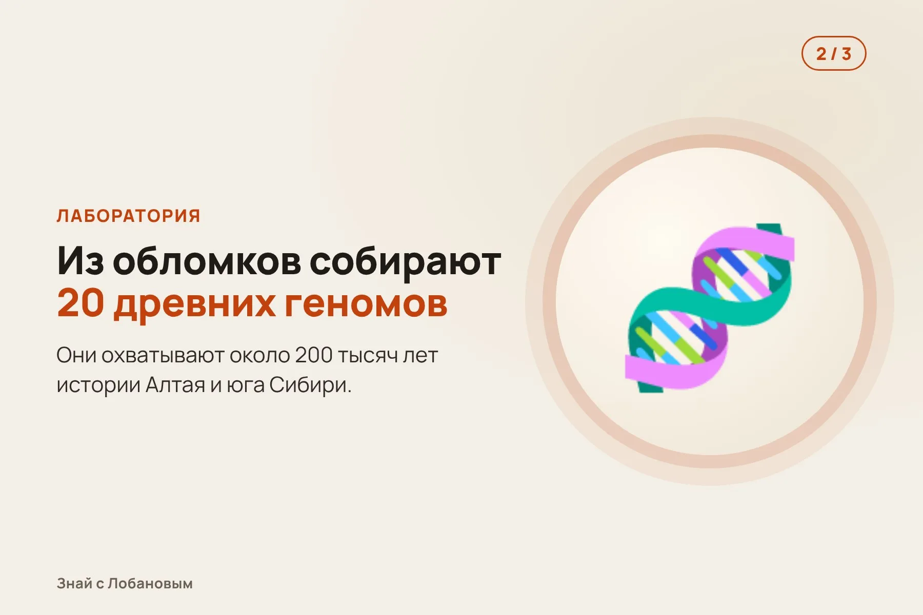 1. В Денисовой пещере и других местах Алтая находят мелкие обломки костей. Иллюстрация: «Знай с Лобановым» по данным Current Biology, условно · 2. Из обломков извлекают древнюю ДНК и собирают 20 геномов. Иллюстрация: «Знай с Лобановым» по данным Current Biology, условно · 3. Сравнение с другими быками показывает неизвестную ветвь — родственника яка. Иллюстрация: «Знай с Лобановым» по данным Current Biology, условно — 2 из 3
