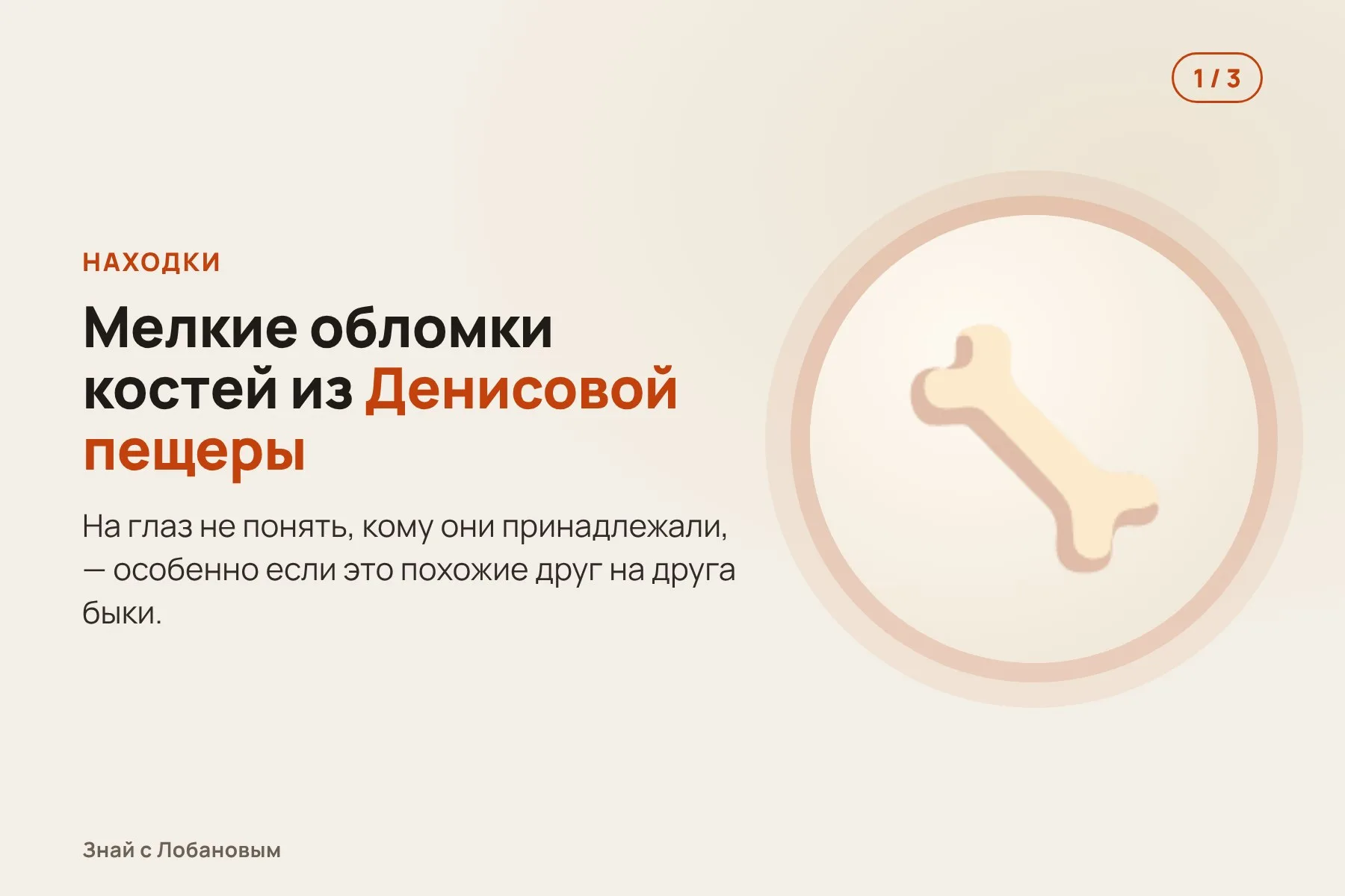 1. В Денисовой пещере и других местах Алтая находят мелкие обломки костей. Иллюстрация: «Знай с Лобановым» по данным Current Biology, условно · 2. Из обломков извлекают древнюю ДНК и собирают 20 геномов. Иллюстрация: «Знай с Лобановым» по данным Current Biology, условно · 3. Сравнение с другими быками показывает неизвестную ветвь — родственника яка. Иллюстрация: «Знай с Лобановым» по данным Current Biology, условно — 1 из 3