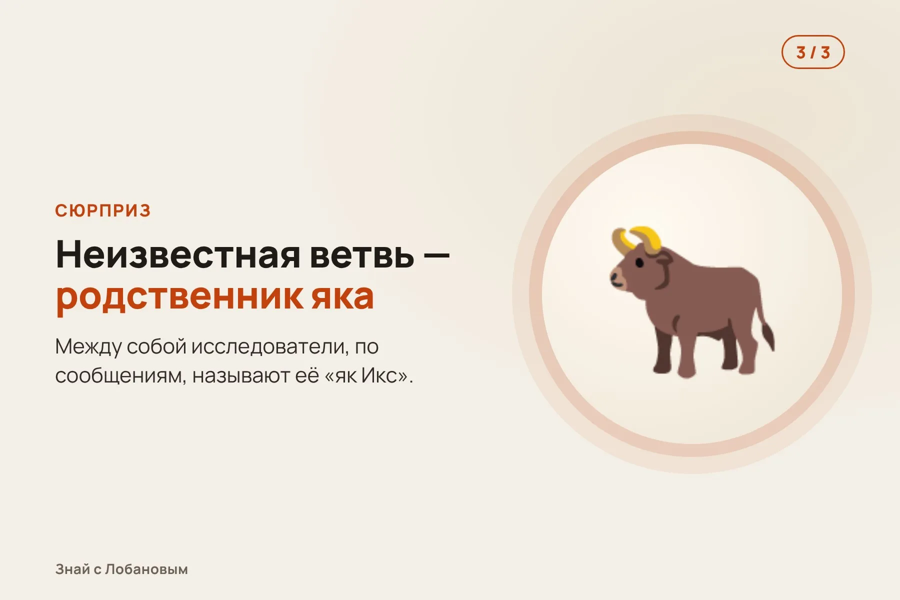 1. В Денисовой пещере и других местах Алтая находят мелкие обломки костей. Иллюстрация: «Знай с Лобановым» по данным Current Biology, условно · 2. Из обломков извлекают древнюю ДНК и собирают 20 геномов. Иллюстрация: «Знай с Лобановым» по данным Current Biology, условно · 3. Сравнение с другими быками показывает неизвестную ветвь — родственника яка. Иллюстрация: «Знай с Лобановым» по данным Current Biology, условно — 3 из 3