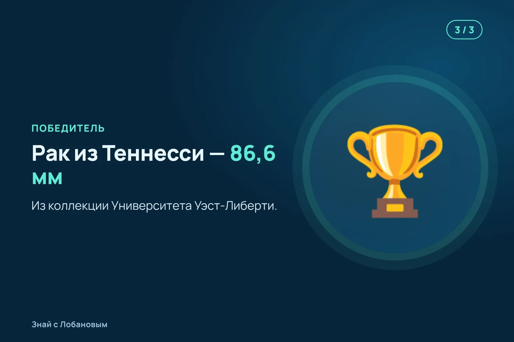 1. Спор: «Мой рак — самый большой!» — «Вряд ли». Иллюстрация: «Знай с Лобановым» по данным Ecology, условно · 2. Биологи и музеи по всей стране измеряют самых крупных раков в коллекциях. Иллюстрация: «Знай с Лобановым» по данным Ecology, условно · 3. Победитель — теннессийский рак с панцирем 86,6 миллиметра. Иллюстрация: «Знай с Лобановым» по данным Ecology, условно — 3 из 3