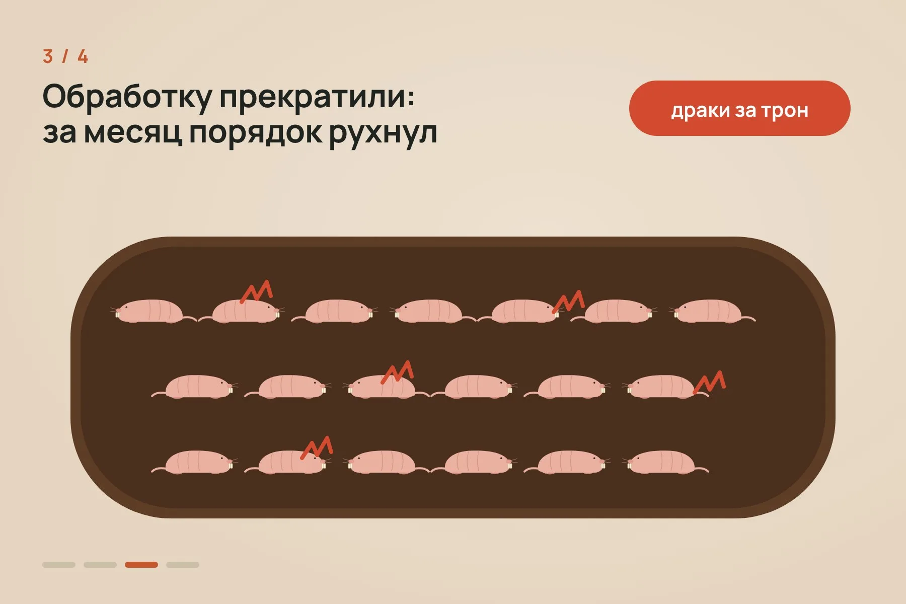 1. Из колонии в 19 животных убрали королеву · 2. Подстилку 12 недель подряд обрабатывали изопропилмиристатом, и колония оставалась спокойной · 3. Когда обработку прекратили, примерно за месяц порядок рухнул: между самками начались драки · 4. Одна из доминантных самок забеременела и стала новой королевой. Схема: «Знай с Лобановым» по данным Nature — 3 из 4