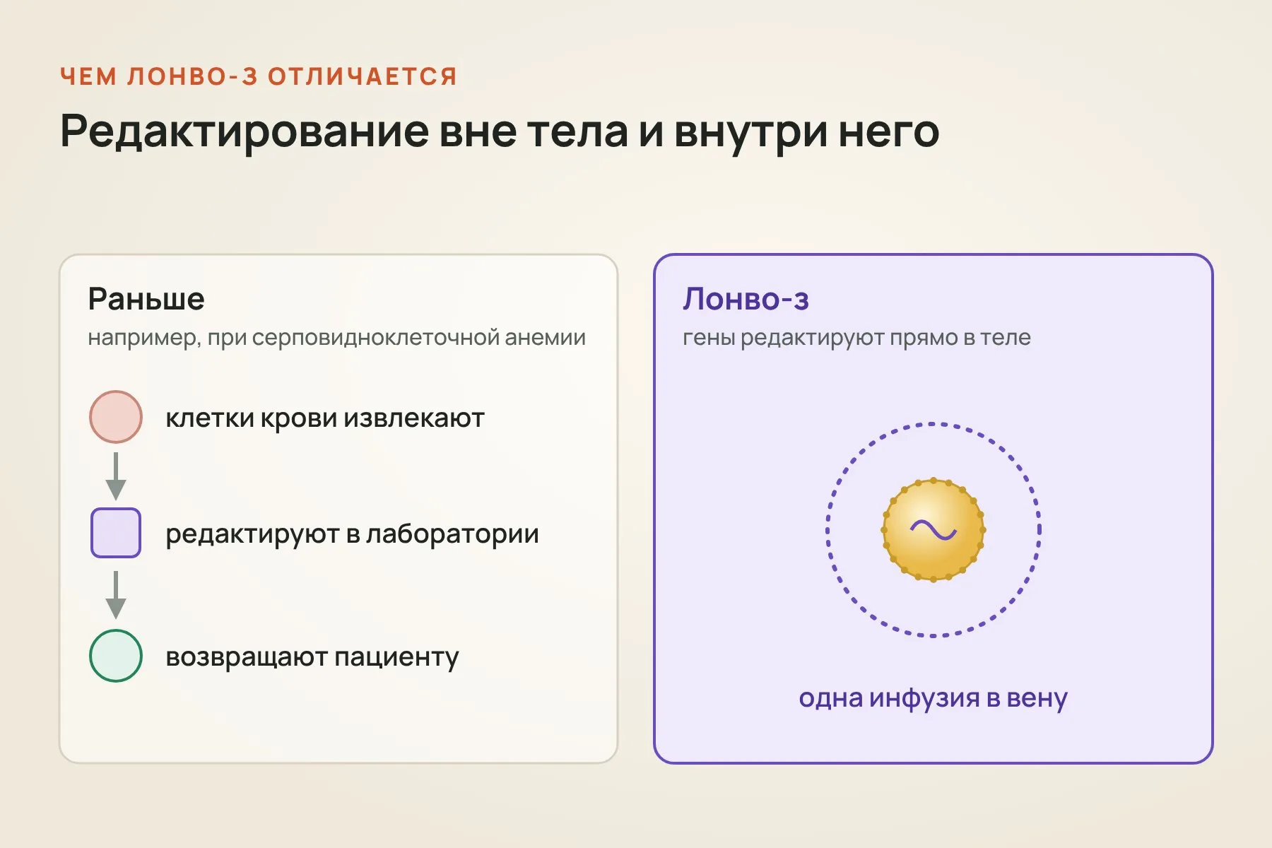Одобренные ранее CRISPR-препараты редактируют клетки крови вне организма, а лонво-з работает прямо в теле пациента после одной инфузии. Иллюстрация: «Знай с Лобановым»