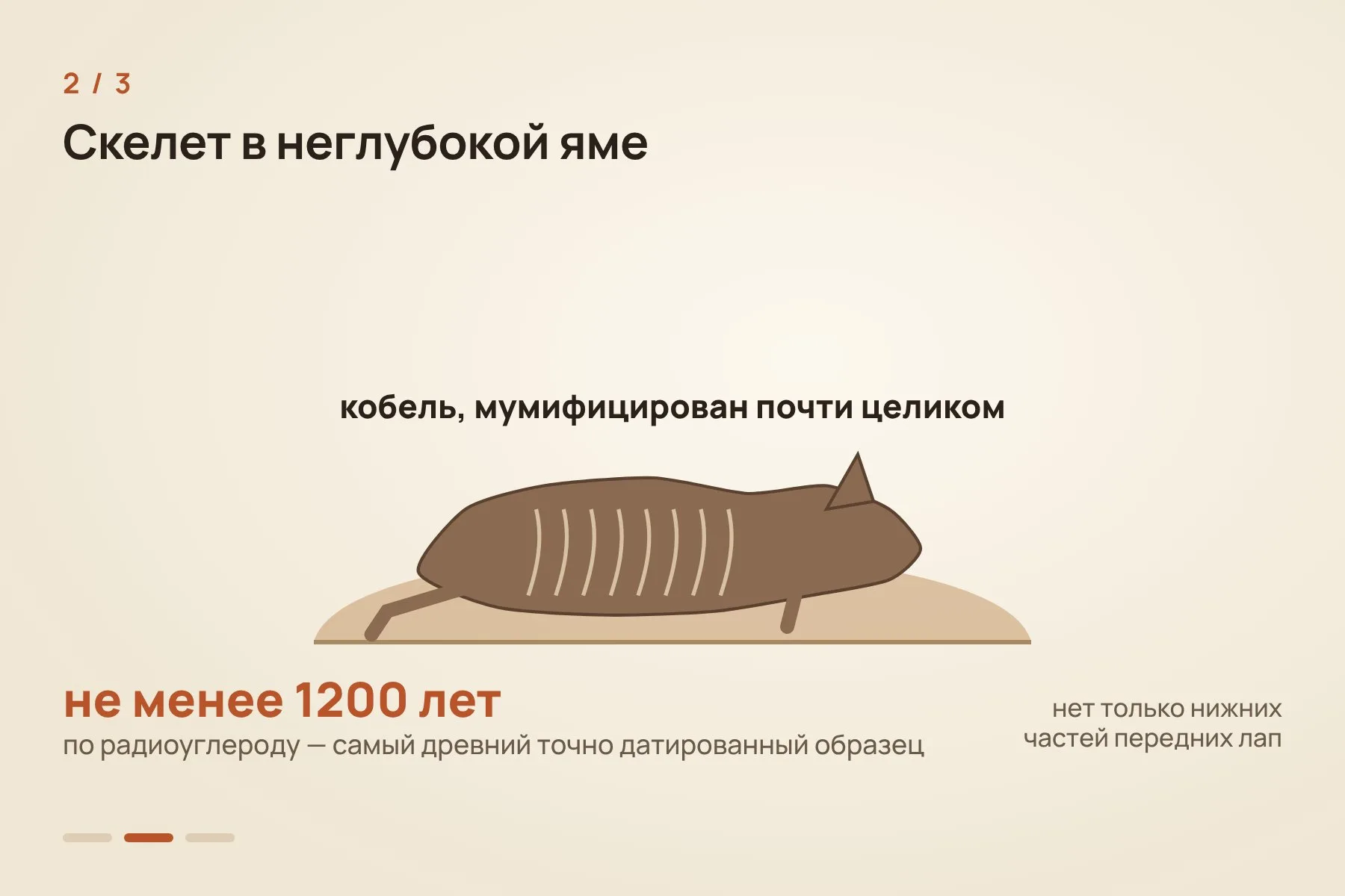 1. Естественная мумия черепа с безволосой кожей и ушами, окрашенная киноварью · 2. Почти полный мумифицированный скелет кобеля возрастом не менее 1200 лет · 3. Керамический сосуд в виде сидящей голой собаки с человеческими чертами. Иллюстрация: «Знай с Лобановым» — 2 из 3
