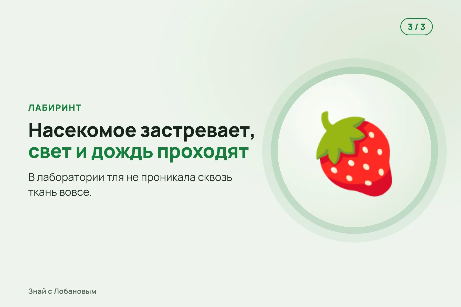 1. Обычная сетка: чтобы не пустить мелких насекомых, ячейки приходится делать крошечными. Иллюстрация: «Знай с Лобановым», условно · 2. Plant Armor: несколько вязаных слоёв, дырочки в которых не совпадают. Иллюстрация: «Знай с Лобановым» по данным NC State, условно · 3. Насекомое застревает в лабиринте, а свет, дождь и воздух проходят к растению. Иллюстрация: «Знай с Лобановым» по данным NC State, условно — 3 из 3