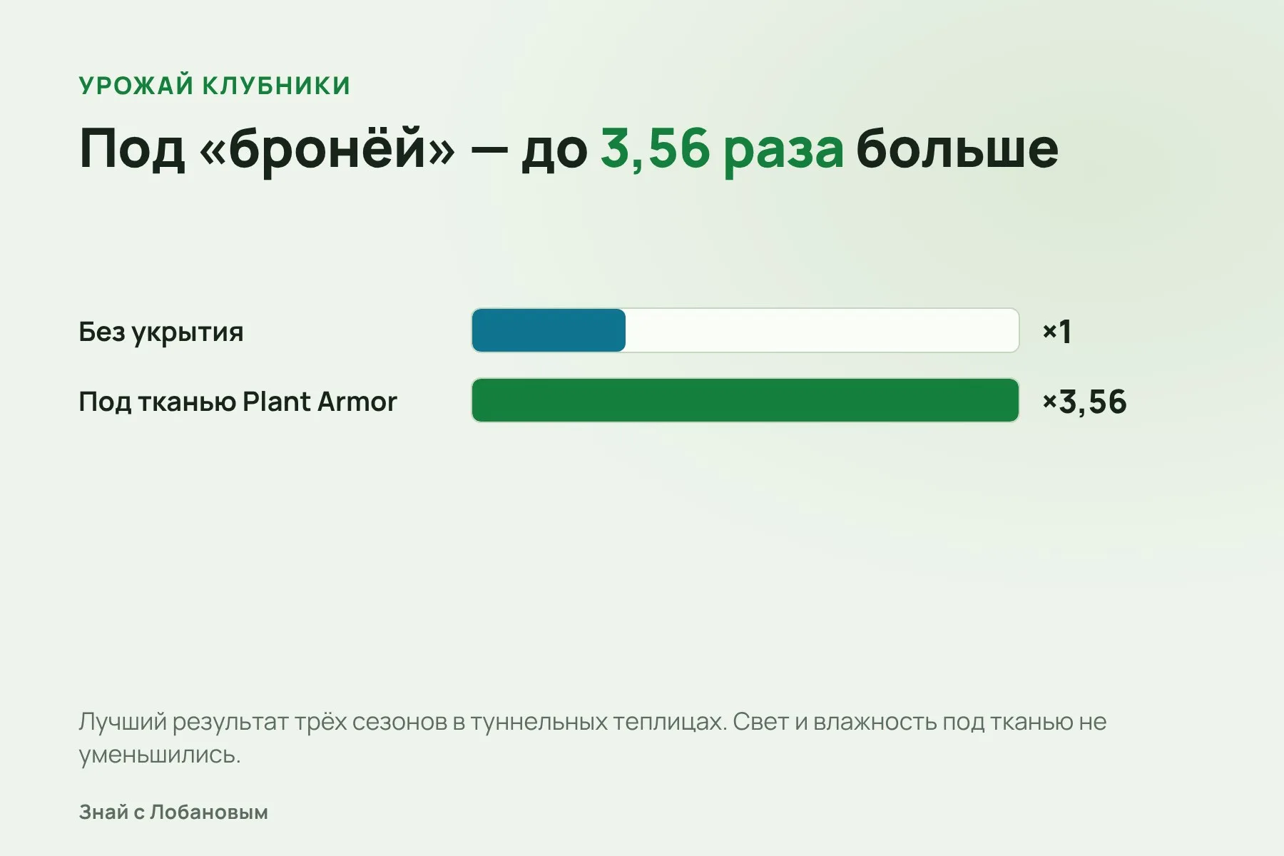 Урожай клубники под тканью Plant Armor по сравнению с открытыми растениями — в лучшем случае. Схема: «Знай с Лобановым» по данным журнала Agriculture