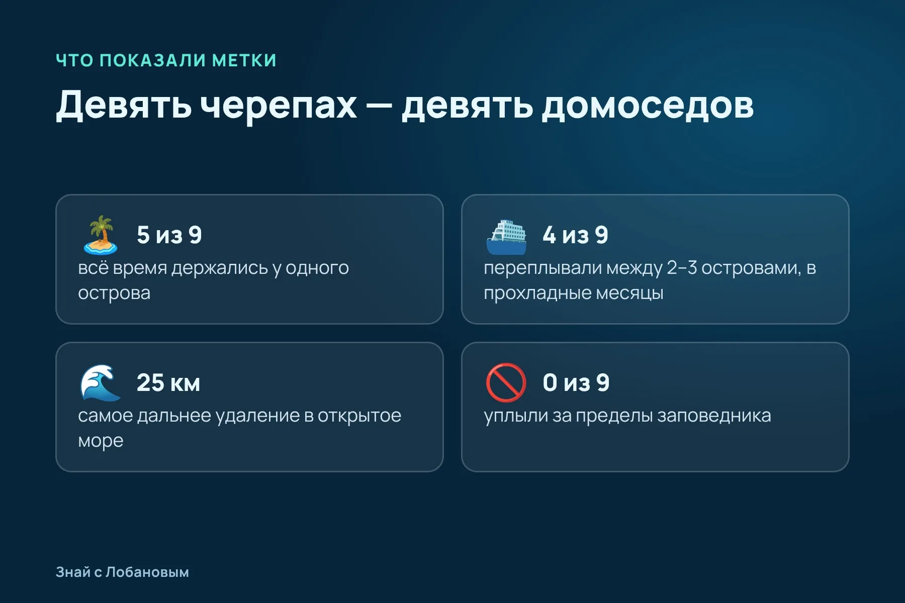 Что показали спутниковые метки девяти жёлтых черепах. Схема: «Знай с Лобановым» по данным Frontiers in Amphibian and Reptile Science
