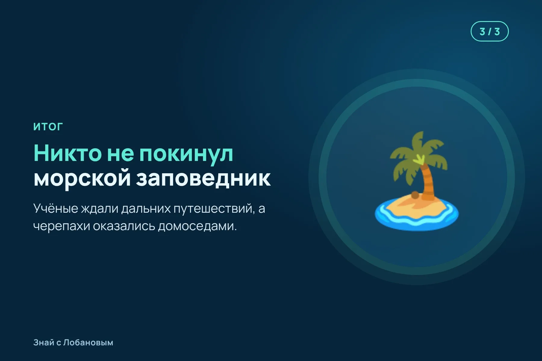 1. Черепахе на панцирь крепят небольшой спутниковый передатчик. Иллюстрация: «Знай с Лобановым» по данным Frontiers in Amphibian and Reptile Science, условно · 2. Передатчик больше года сообщает, где находится черепаха. Иллюстрация: «Знай с Лобановым» по данным Frontiers in Amphibian and Reptile Science, условно · 3. Итог: ни одна из девяти черепах не уплыла за пределы морского заповедника. Иллюстрация: «Знай с Лобановым» по данным Frontiers in Amphibian and Reptile Science, условно — 3 из 3