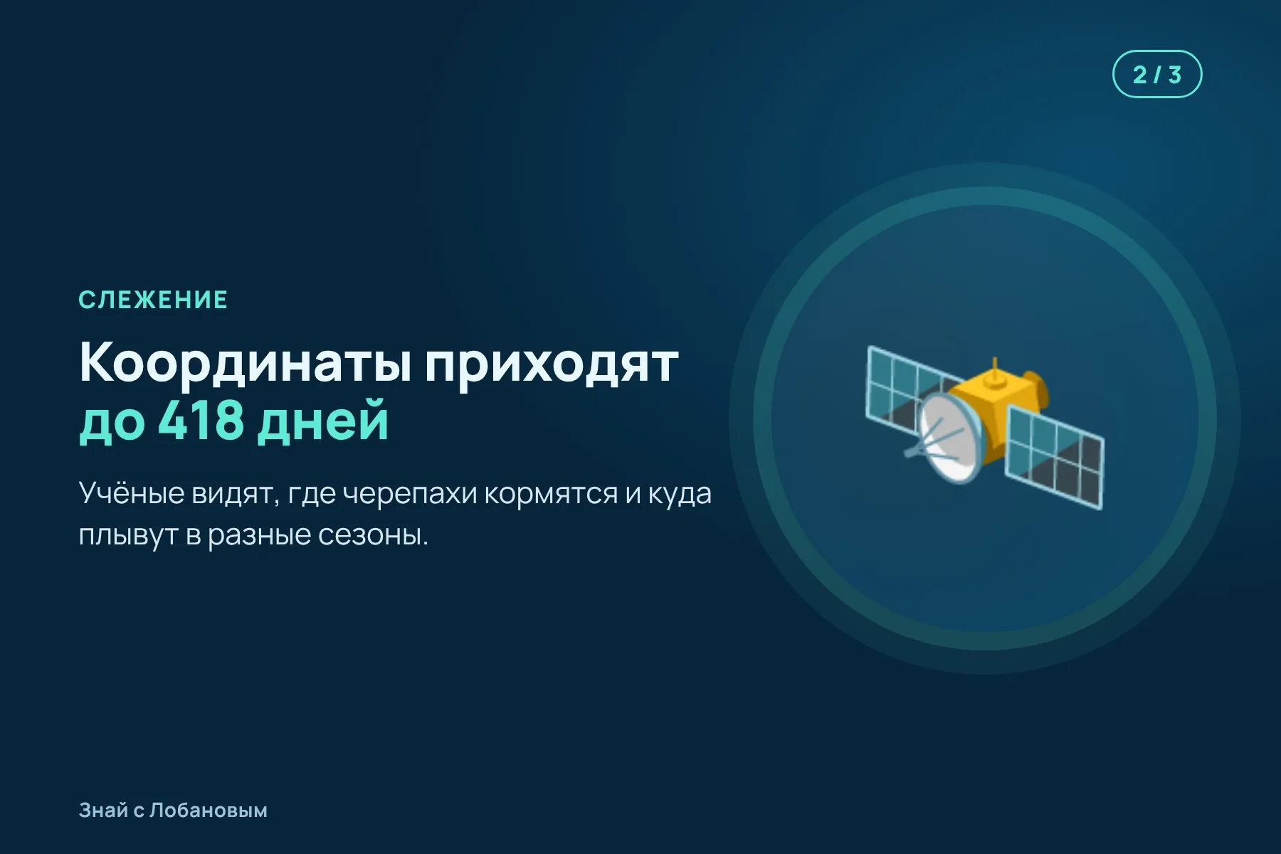 1. Черепахе на панцирь крепят небольшой спутниковый передатчик. Иллюстрация: «Знай с Лобановым» по данным Frontiers in Amphibian and Reptile Science, условно · 2. Передатчик больше года сообщает, где находится черепаха. Иллюстрация: «Знай с Лобановым» по данным Frontiers in Amphibian and Reptile Science, условно · 3. Итог: ни одна из девяти черепах не уплыла за пределы морского заповедника. Иллюстрация: «Знай с Лобановым» по данным Frontiers in Amphibian and Reptile Science, условно — 2 из 3