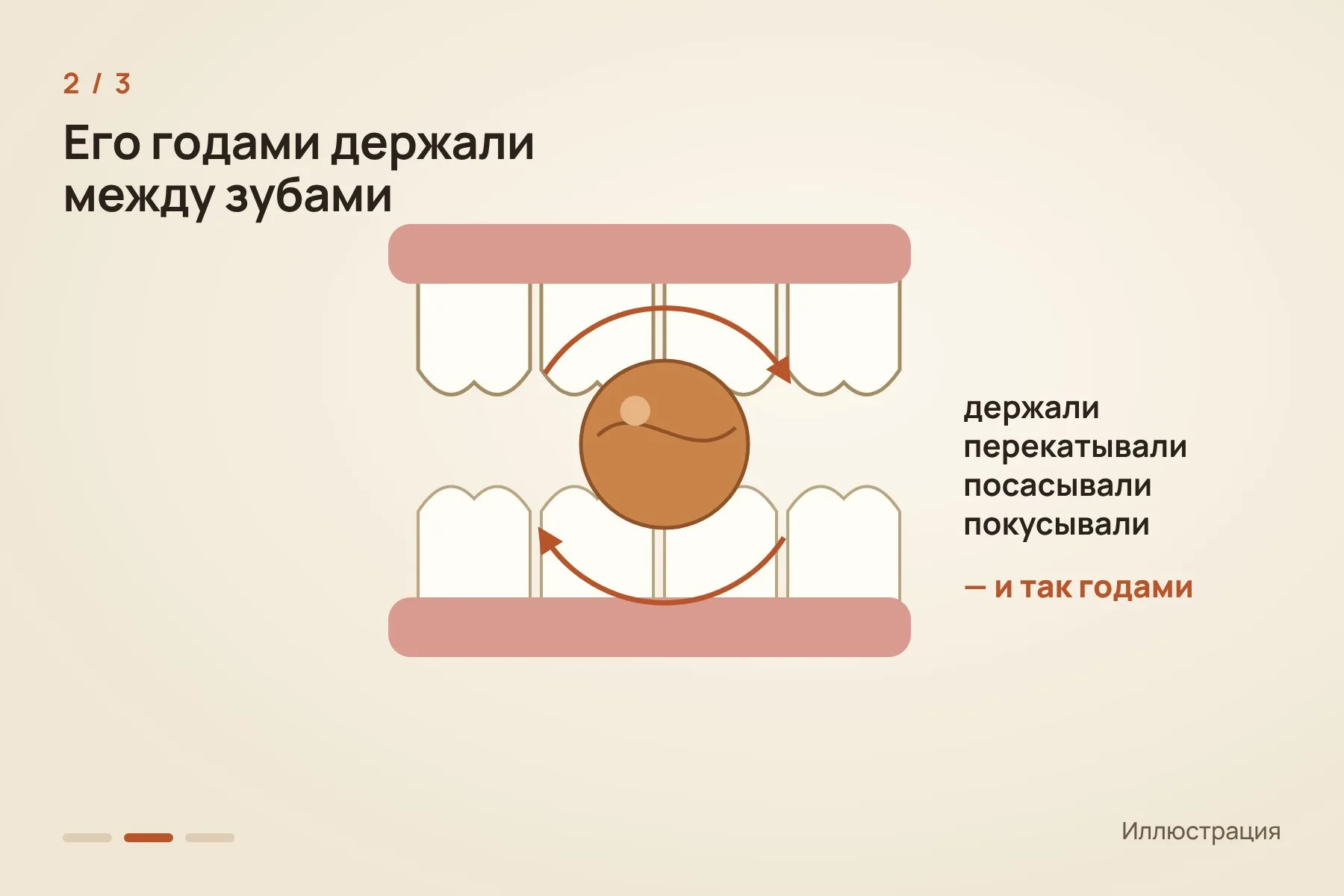 1. Твёрдое, почти круглое семя ареки диаметром 1–2 см лучше всего подходит под форму желобков · 2. Орех годами держали между зубами: перекатывали, посасывали и слегка покусывали · 3. За годы в эмали протёрся округлый желобок, непохожий на обычный износ от еды. Иллюстрация: «Знай с Лобановым» — 2 из 3