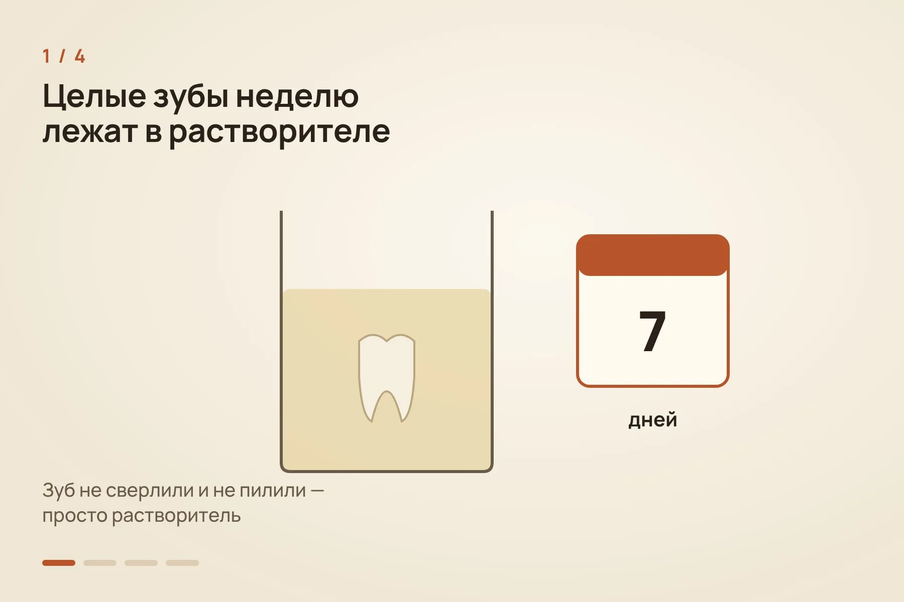 1. Целые зубы не сверлили, а на неделю погружали в растворитель · 2. Масс-спектрометр нашёл ареколин в одном зубе каждого из двух людей · 3. Целые и расколотые семена около 21 часа держали в солевом растворе при 36 °C · 4. Жидкость из целых семян вызывала электрический отклик икринок лягушки с рецепторами человеческого мозга, из семян дикой пальмы — более слабый. Схема: «Знай с Лобановым» по данным Brumm et al., Science Advances — 1 из 4