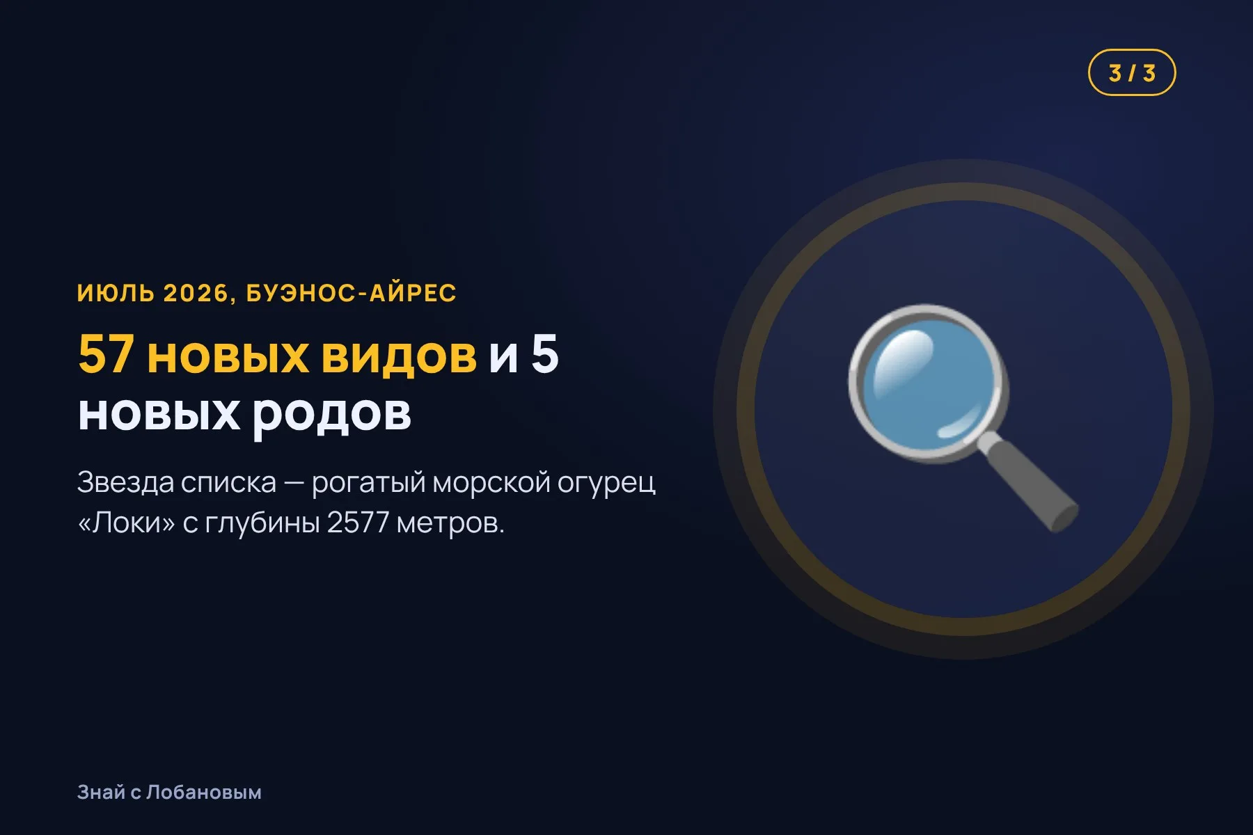 1. 2025: подводный робот спускается в каньон Мар-дель-Плата. Иллюстрация: «Знай с Лобановым» по данным Ocean Census, условно · 2. Миллионы зрителей следят за «морской звездой Патриком» в прямом эфире. Иллюстрация: «Знай с Лобановым» по данным Ocean Census, условно · 3. 2026: в Буэнос-Айресе биологи подтверждают 57 новых видов. Иллюстрация: «Знай с Лобановым» по данным Ocean Census, условно — 3 из 3