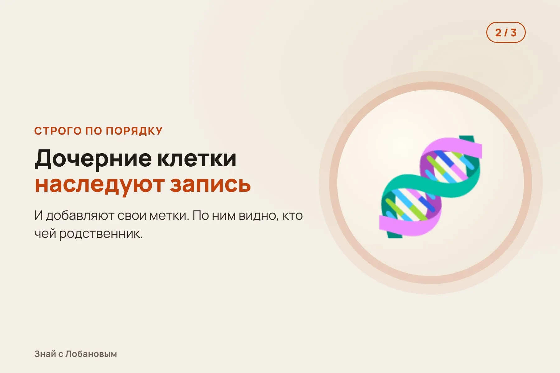 1. В геном вставляют «ленту», куда клетки печатают метки при развитии. Иллюстрация: «Знай с Лобановым» по данным Science, условно · 2. Метки встают строго по порядку, а дочерние клетки наследуют всю запись. Иллюстрация: «Знай с Лобановым» по данным Science, условно · 3. По меткам восстанавливают семейное древо 1,28 миллиона клеток. Иллюстрация: «Знай с Лобановым» по данным Science, условно — 2 из 3