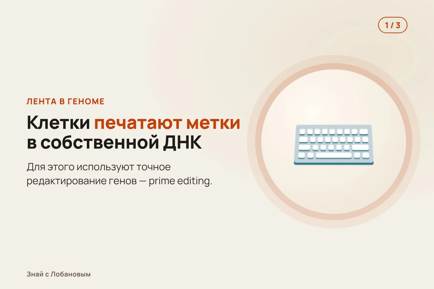 1. В геном вставляют «ленту», куда клетки печатают метки при развитии. Иллюстрация: «Знай с Лобановым» по данным Science, условно · 2. Метки встают строго по порядку, а дочерние клетки наследуют всю запись. Иллюстрация: «Знай с Лобановым» по данным Science, условно · 3. По меткам восстанавливают семейное древо 1,28 миллиона клеток. Иллюстрация: «Знай с Лобановым» по данным Science, условно — 1 из 3