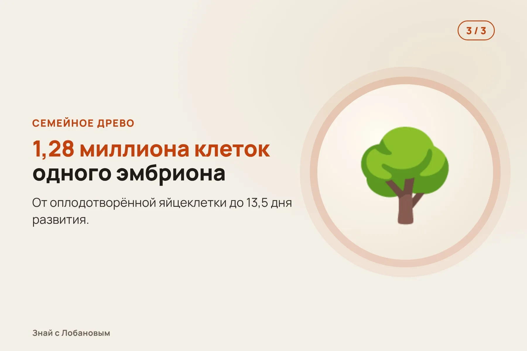 1. В геном вставляют «ленту», куда клетки печатают метки при развитии. Иллюстрация: «Знай с Лобановым» по данным Science, условно · 2. Метки встают строго по порядку, а дочерние клетки наследуют всю запись. Иллюстрация: «Знай с Лобановым» по данным Science, условно · 3. По меткам восстанавливают семейное древо 1,28 миллиона клеток. Иллюстрация: «Знай с Лобановым» по данным Science, условно — 3 из 3