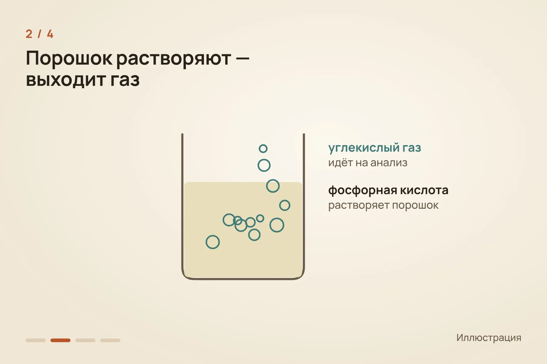 1. С двух зубов Томаса, которые не выставлены в экспозиции, бормашиной сняли немного эмали · 2. Порошок растворили в фосфорной кислоте и получили углекислый газ · 3. Масс-спектрометр считает, как часто тяжёлые изотопы углерода и кислорода соединены друг с другом · 4. Чем прохладнее организм, тем больше таких связей; у Томаса получилось около 36 °C. Схема: «Знай с Лобановым» по данным Flores et al., Science Advances — 2 из 4