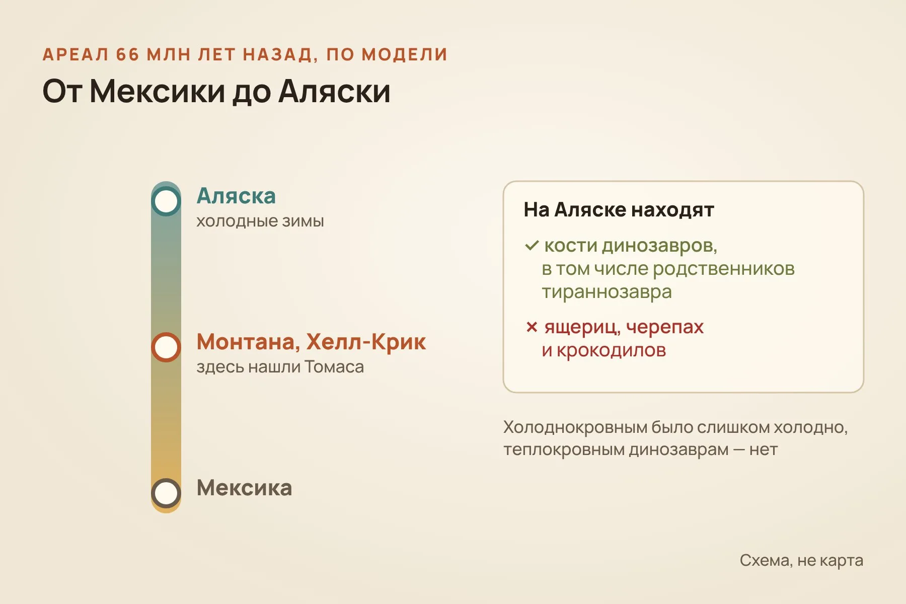 По модели тираннозавр мог жить от Мексики до Аляски; на Аляске находят кости динозавров, но не находят ящериц, черепах и крокодилов. Схема: «Знай с Лобановым» по данным Flores et al., Science Advances