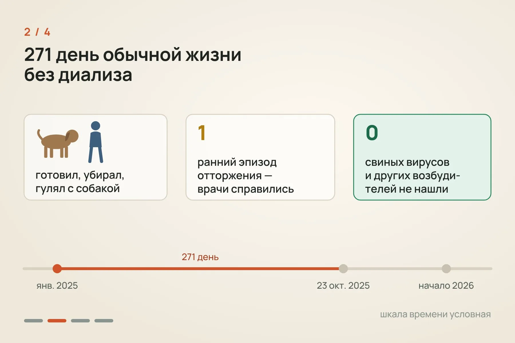 1. Январь 2025 года: пересадка, почка заработала сразу, и диализ стал не нужен · 2. 271 день обычной жизни: один ранний эпизод отторжения, свиных вирусов не нашли · 3. 23 октября 2025 года из-за крошечных тромбов почку удалили, антител против свиных тканей не нашли · 4. В начале 2026 года Эндрюс получил почку от умершего донора-человека. Схема: «Знай с Лобановым» по данным The Lancet и Массачусетской больницы общего профиля — 2 из 4